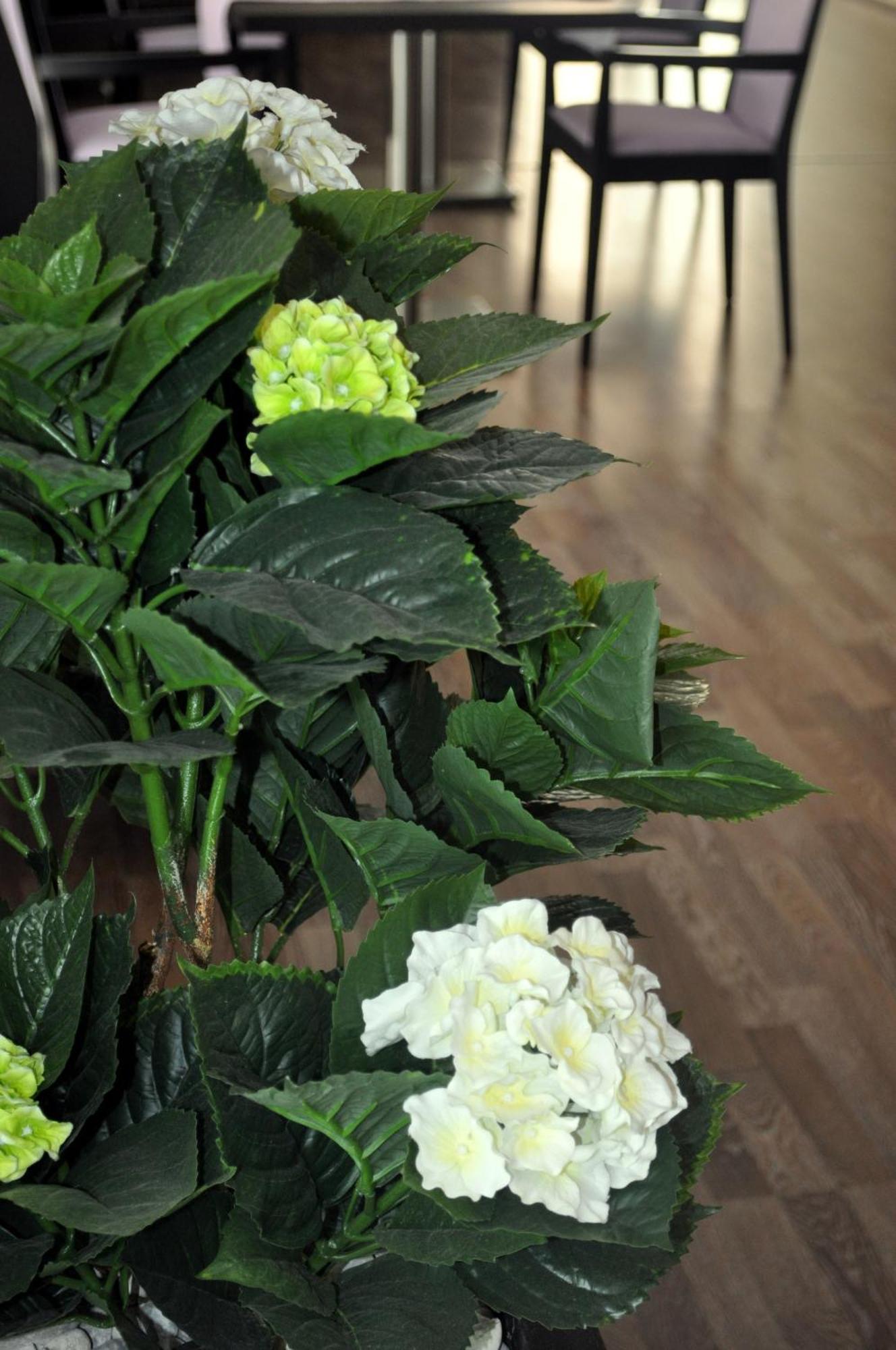 Hotel Miramare Pineto Zewnętrze zdjęcie